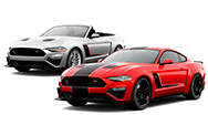 2019 Stage 3 Mustang Image